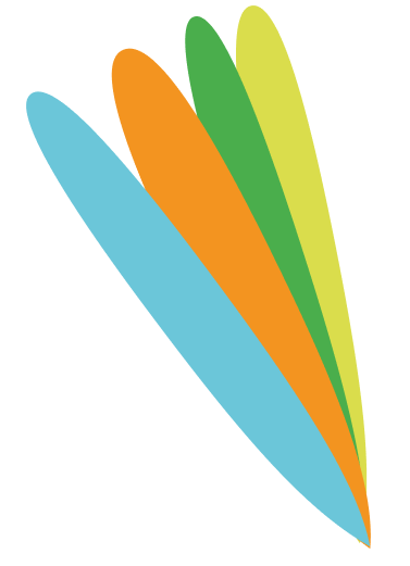 iconos